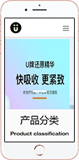 网站案例